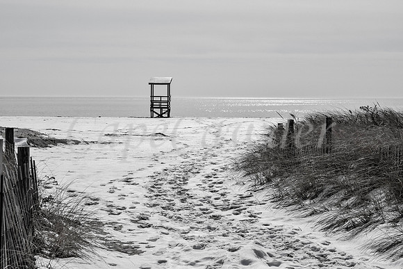 DSC_0005-Edit