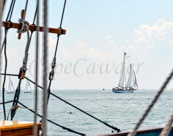 Great Day For A Sail