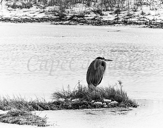 DSC_0209-Edit-Edit-Edit